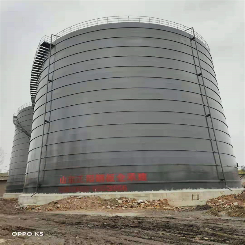 凤凰镇3万吨大型钢板库