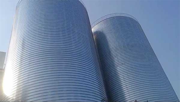 凤凰镇2座混凝土高架卷板仓